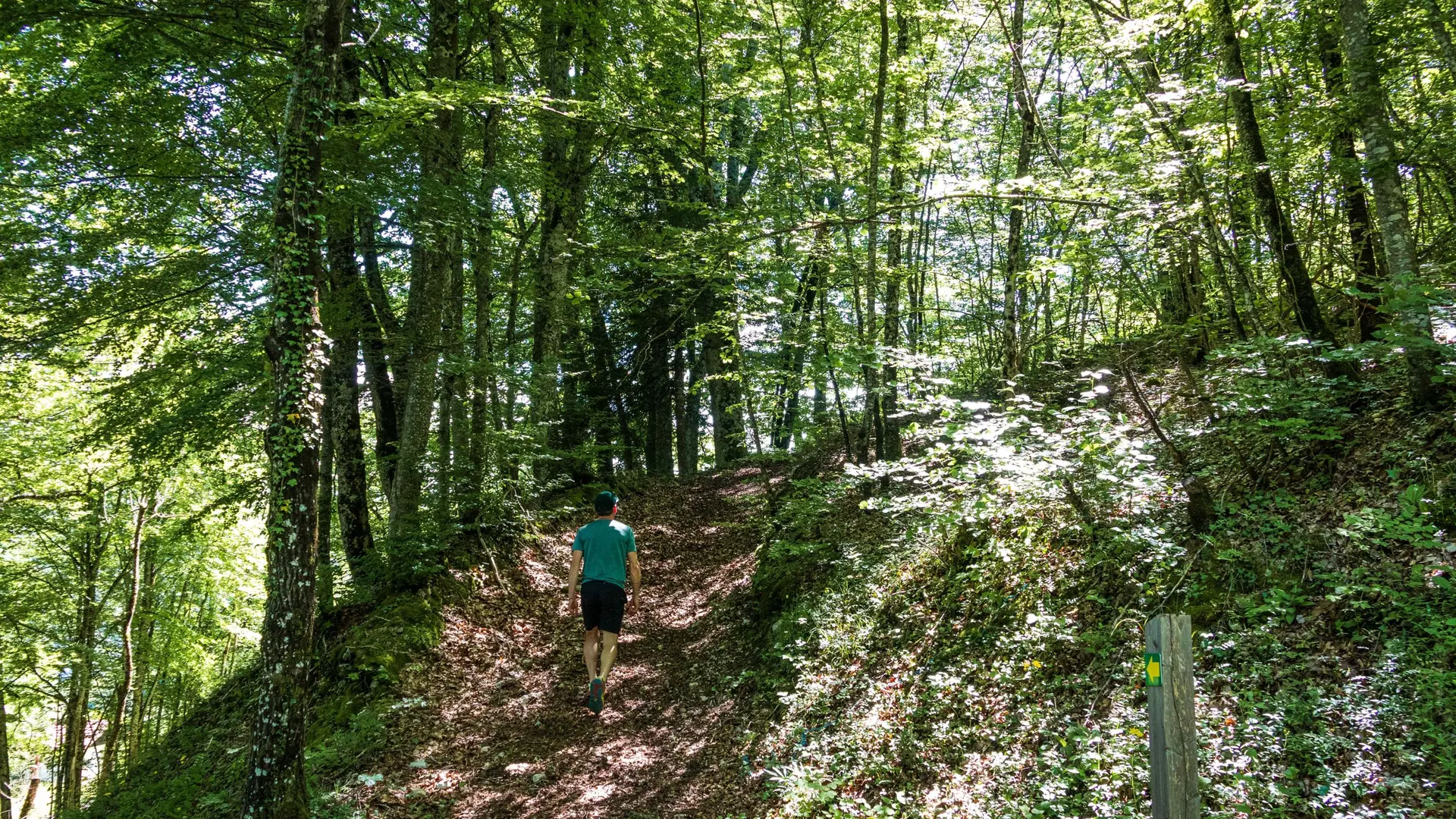 sentier