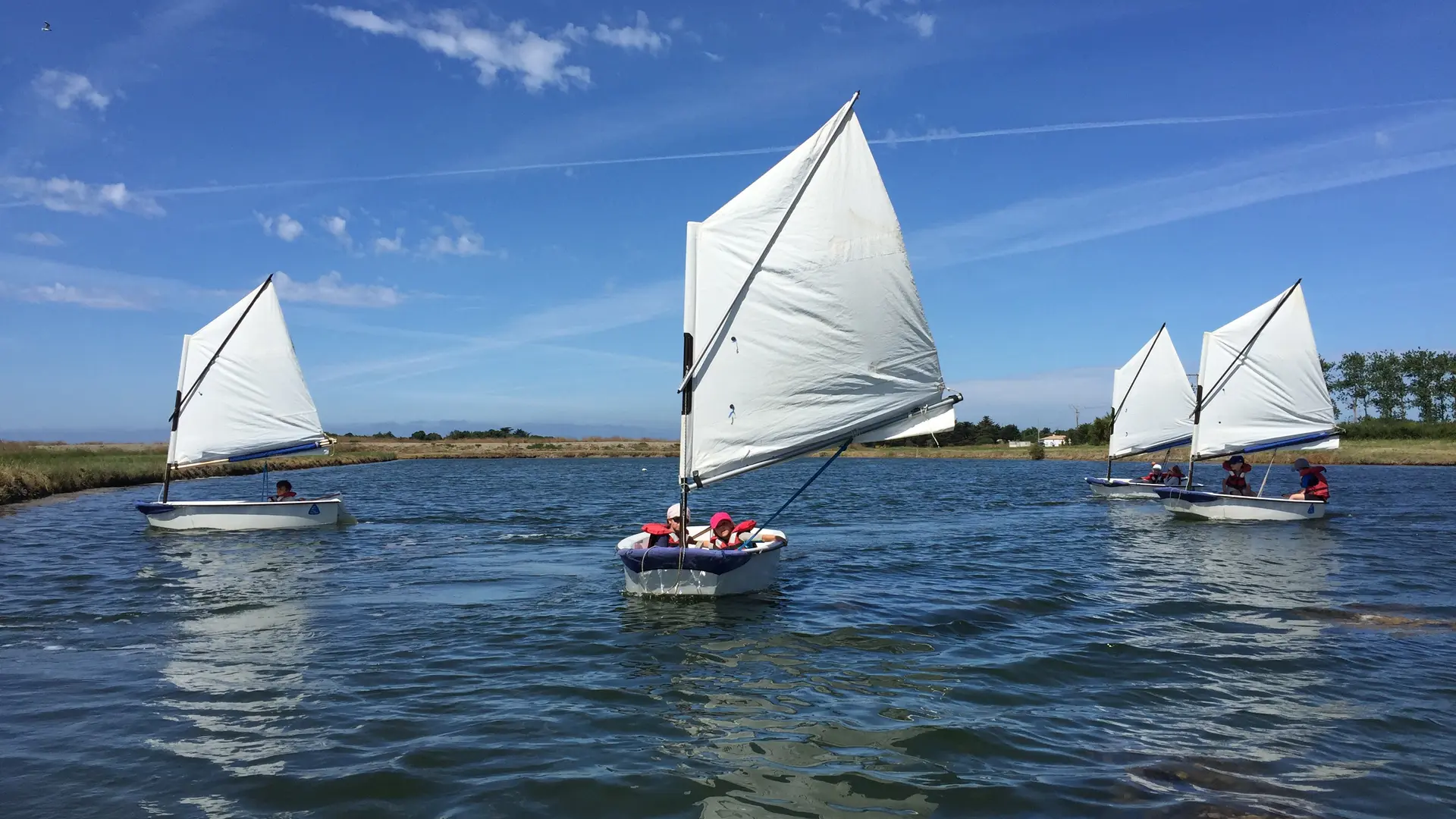 Dériveurs sur la bassin