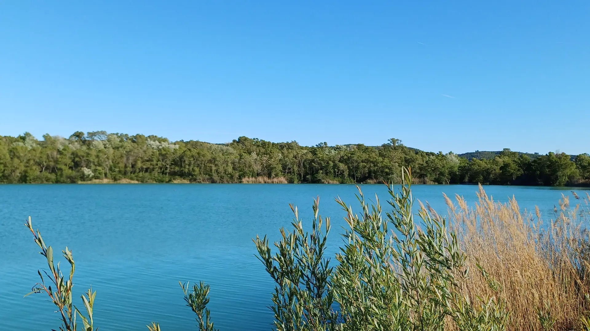 Lac de baignade