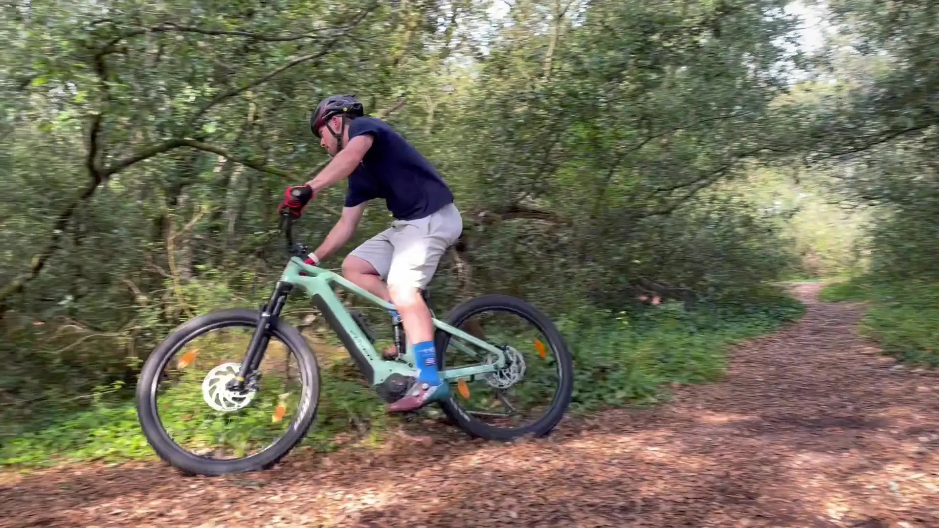 Balade en VTT dans la forêt