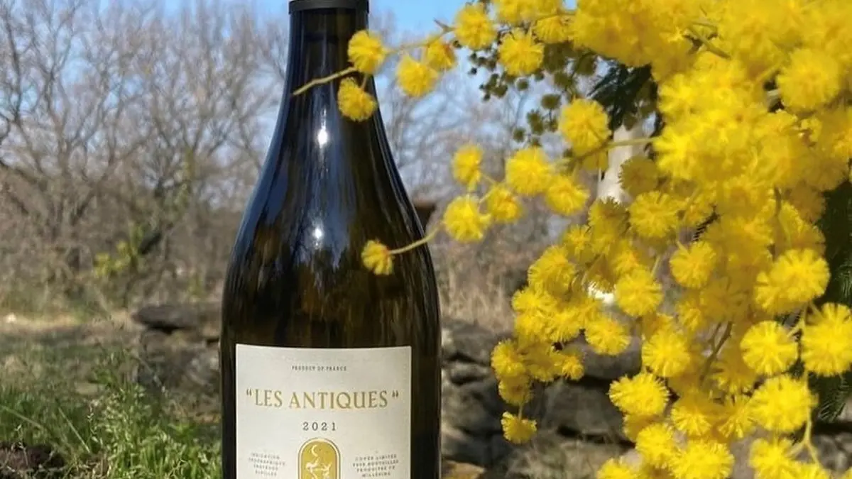 Domaine viticole, Domaine de Fontchêne, à Saint-Rémy-de-Provence