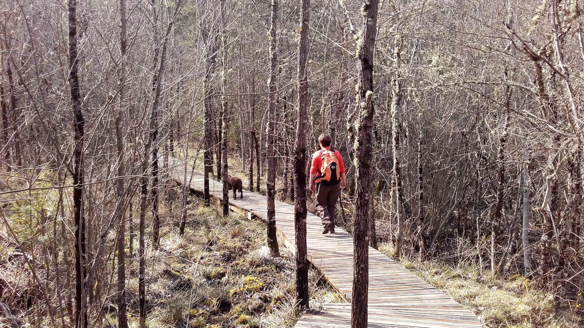 Sur les chemins de Pélicier