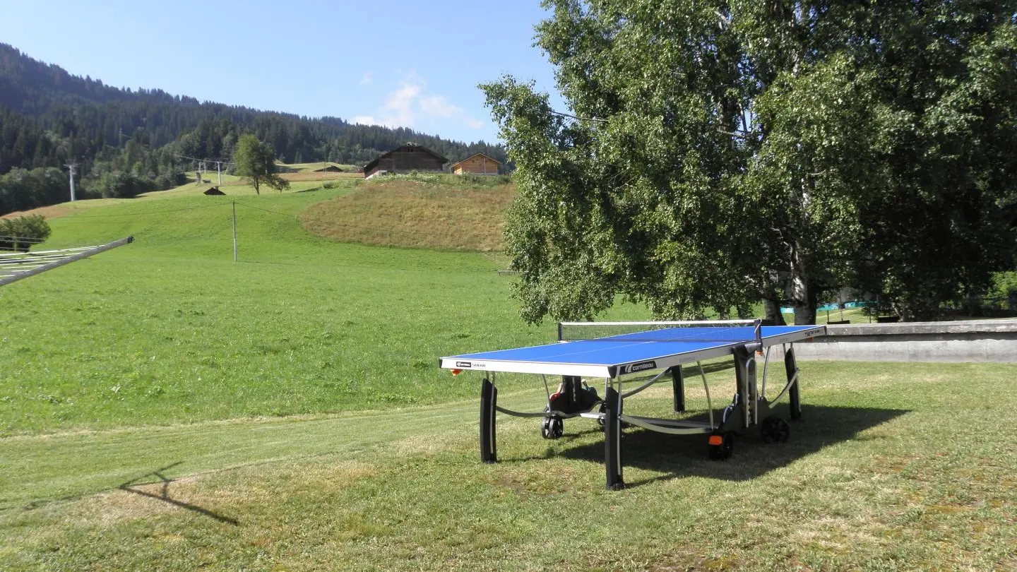 Table Ping-pong plus raquettes.
balles non fournies