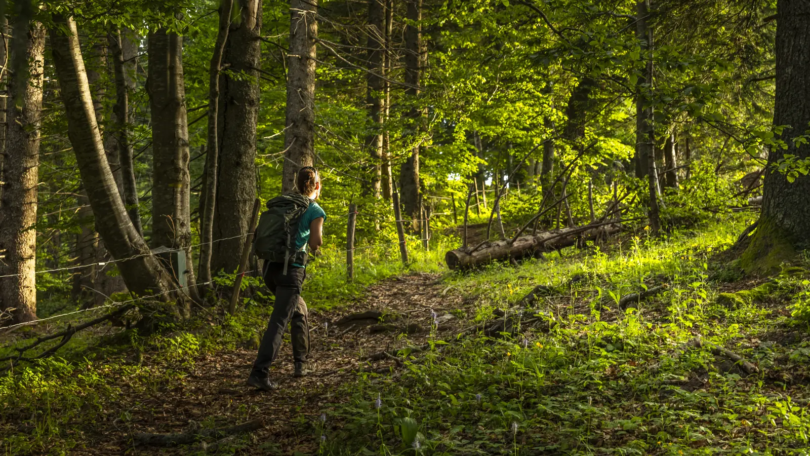 La boucle des Emeindras et le Habert de Chamechaude