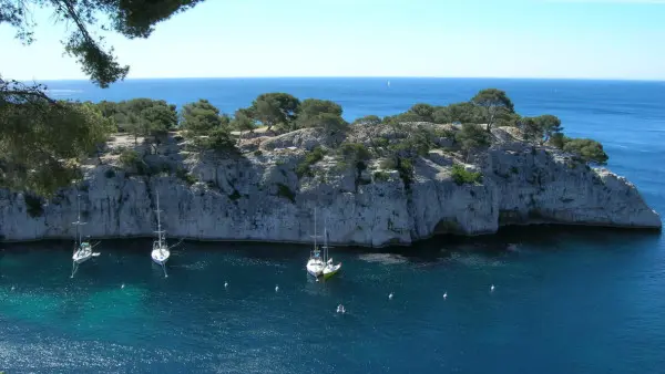 Bandol et Cassis avec Dégustations de Vin