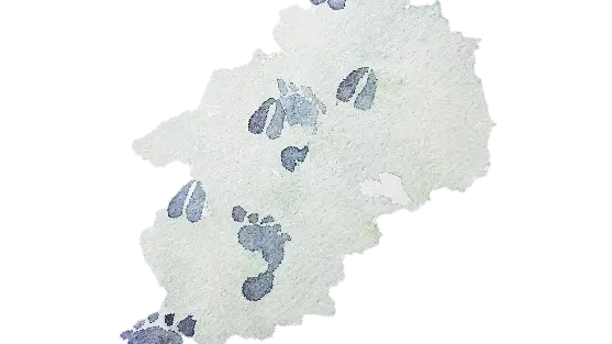 Aquarelle représentant une chaîne de montagne dans les tons de bleus.