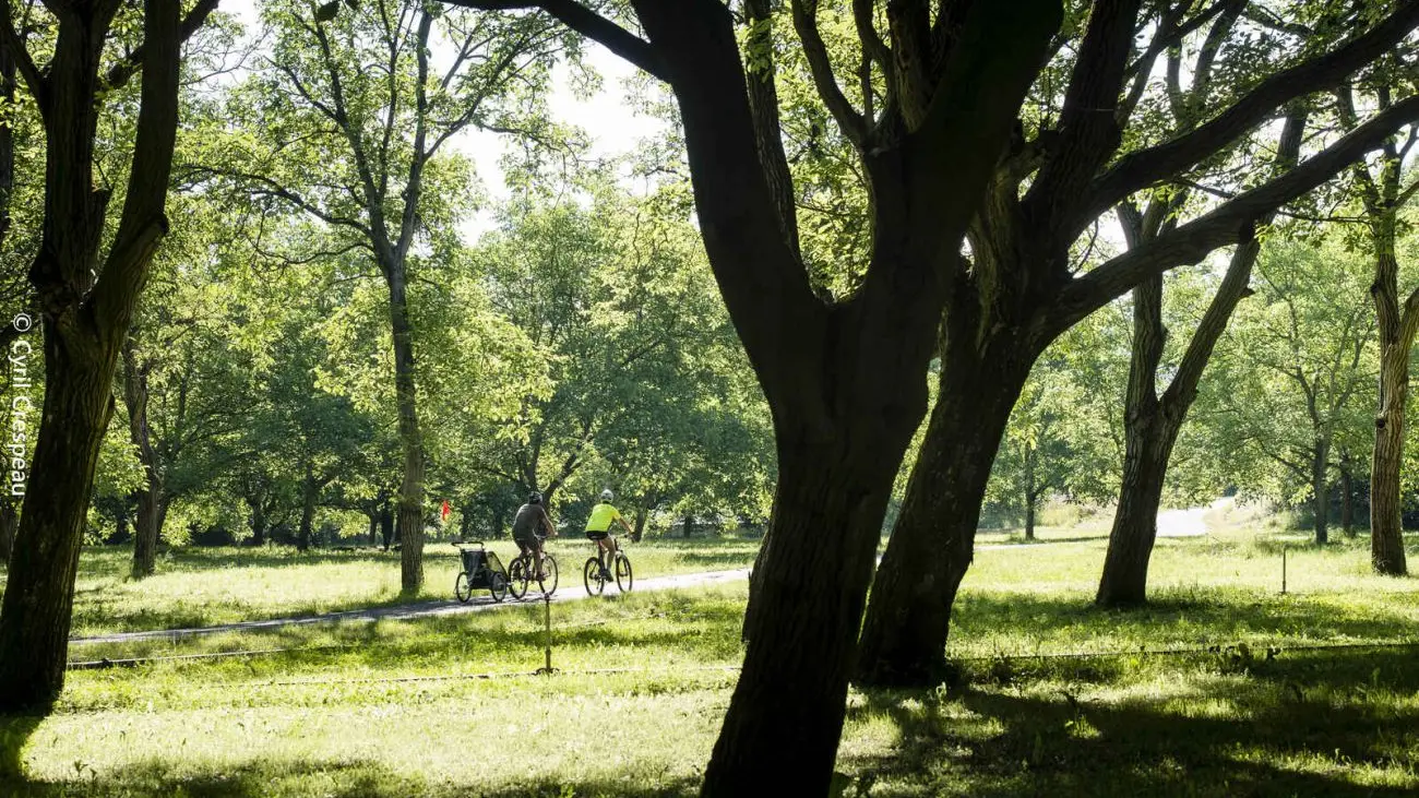 Le parc de Lorient