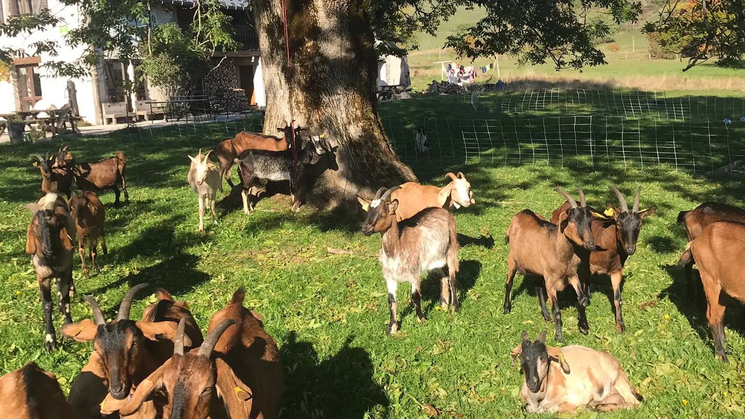 Auberge de la Grange des Plans_Haut Valromey