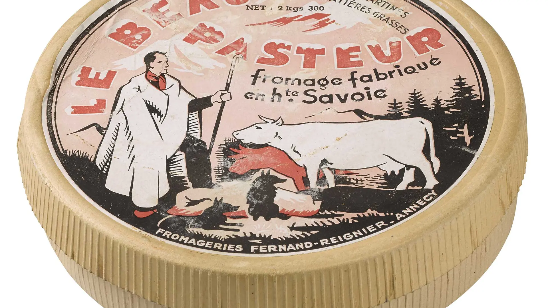Le beau pasteur avec sa vahce, ses chiens et sa cape