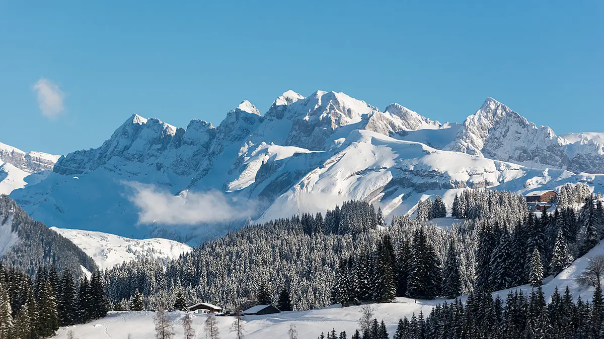 Les Dents blanches