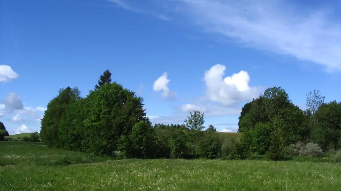 Plateau des Bornes