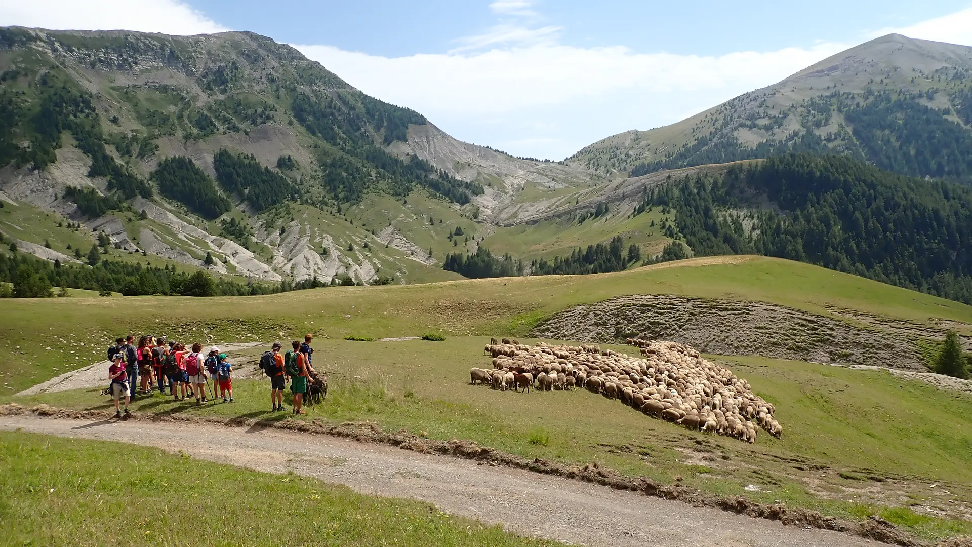 Séjour Davy Crockett