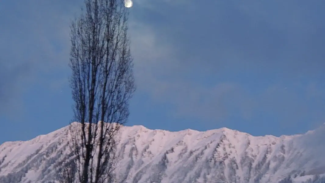 Vue de nuit à la pleine lune