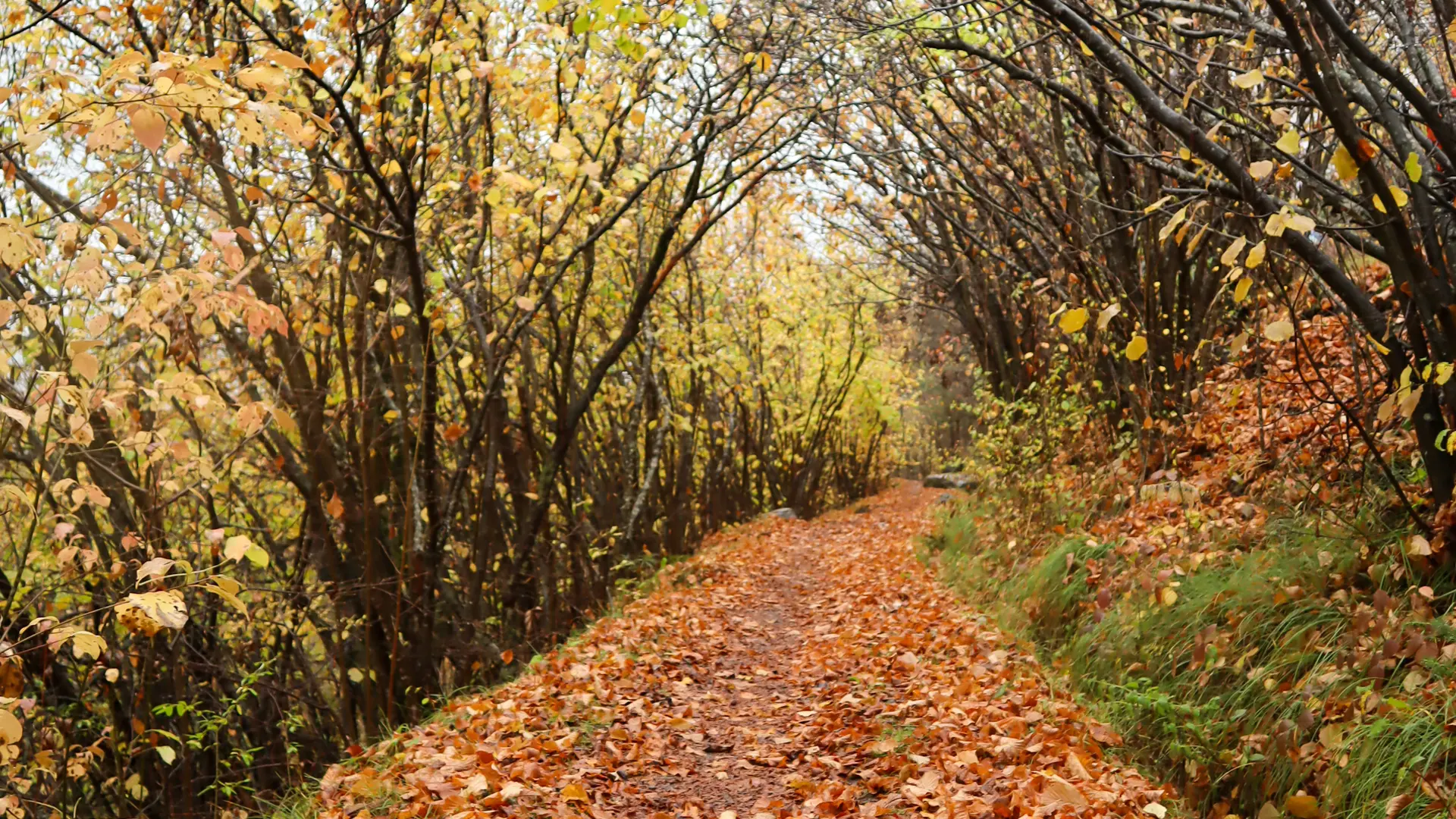 Sentier d'Art Puy-Saint-André