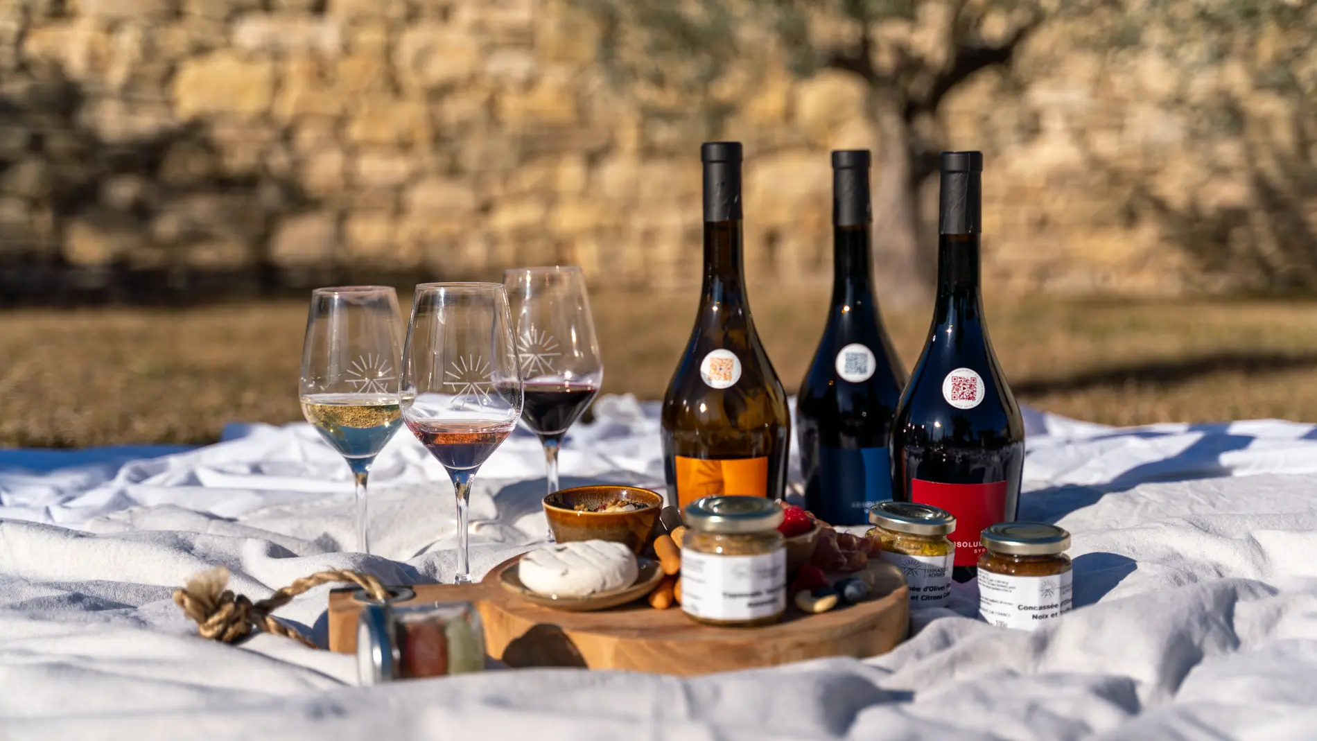 Introduction à l'Oenologie aux Terrasses d' Adrien_Sannes