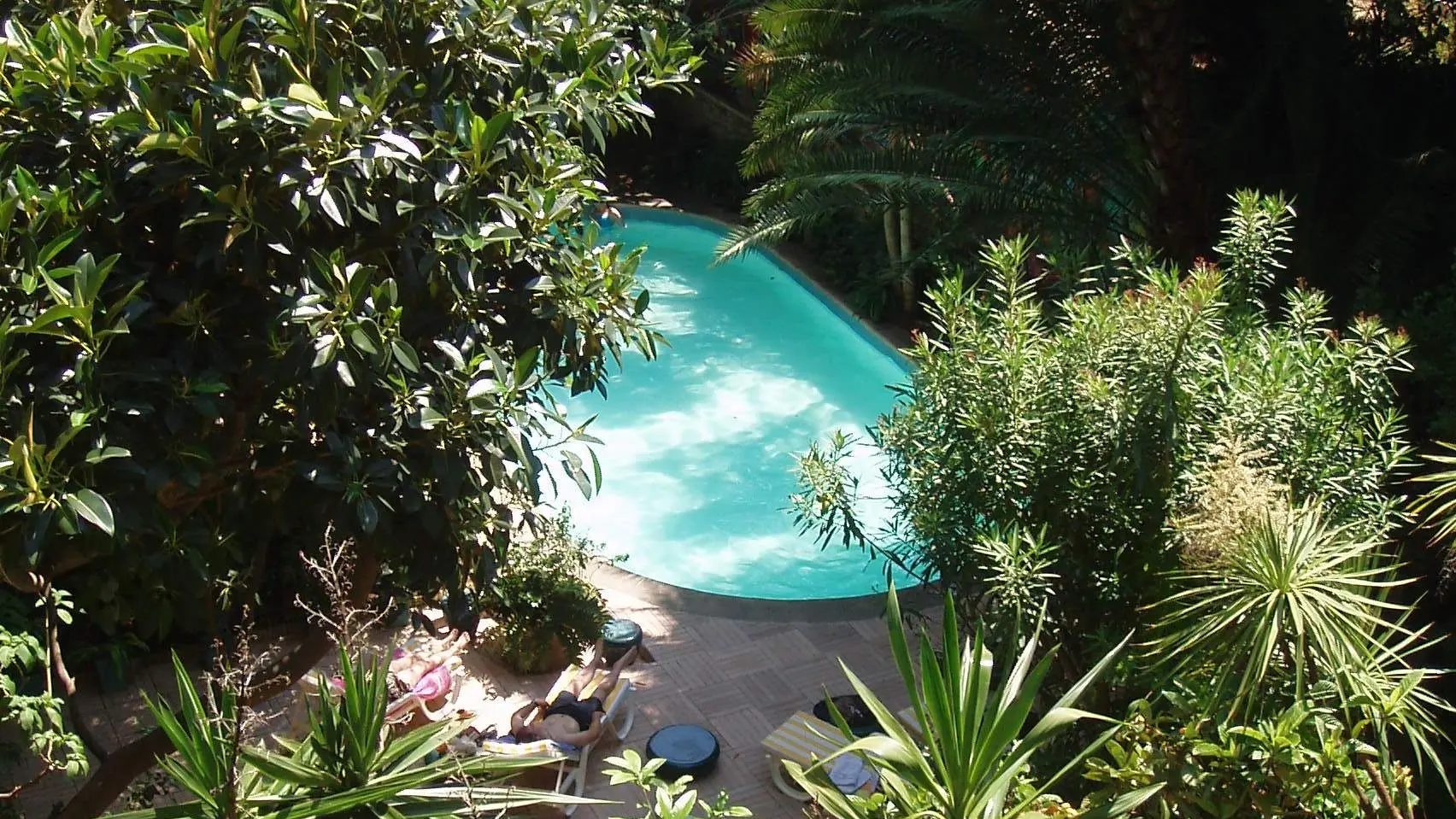 Piscine jardin