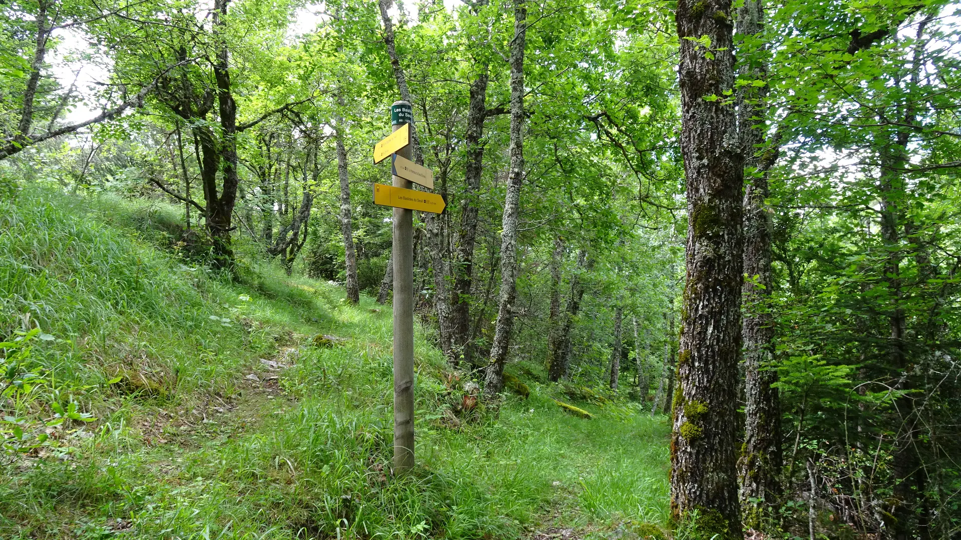 Le Seuil Saint André les Alpes