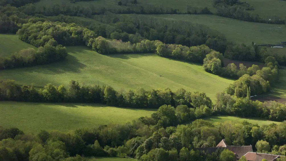 Bocage du Champsaur