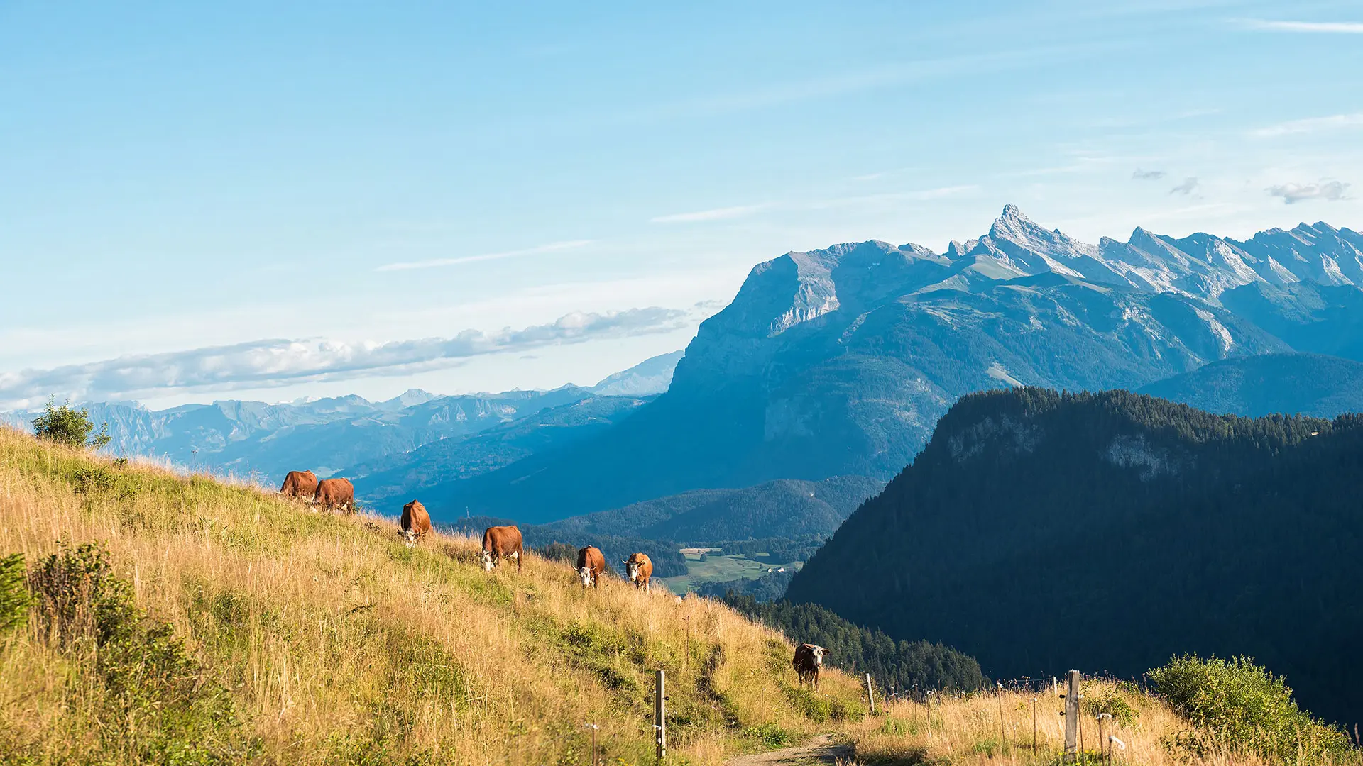 Vue sur les Aravis après le col de la Basse