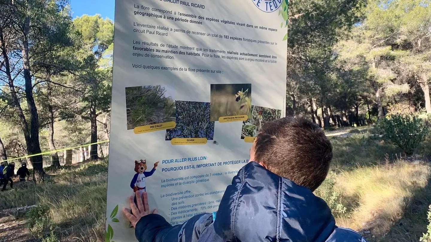 Parcours de Teddy II