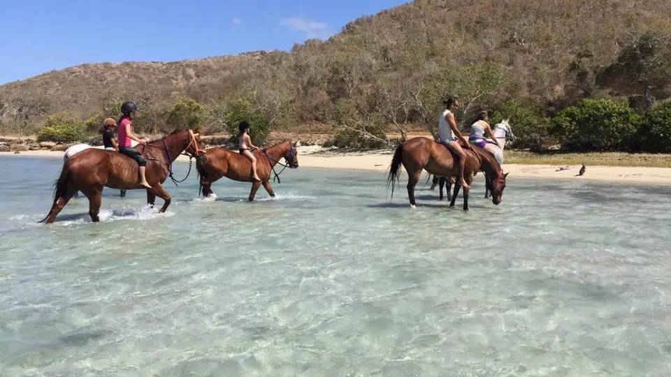 Les pieds dans l'eau