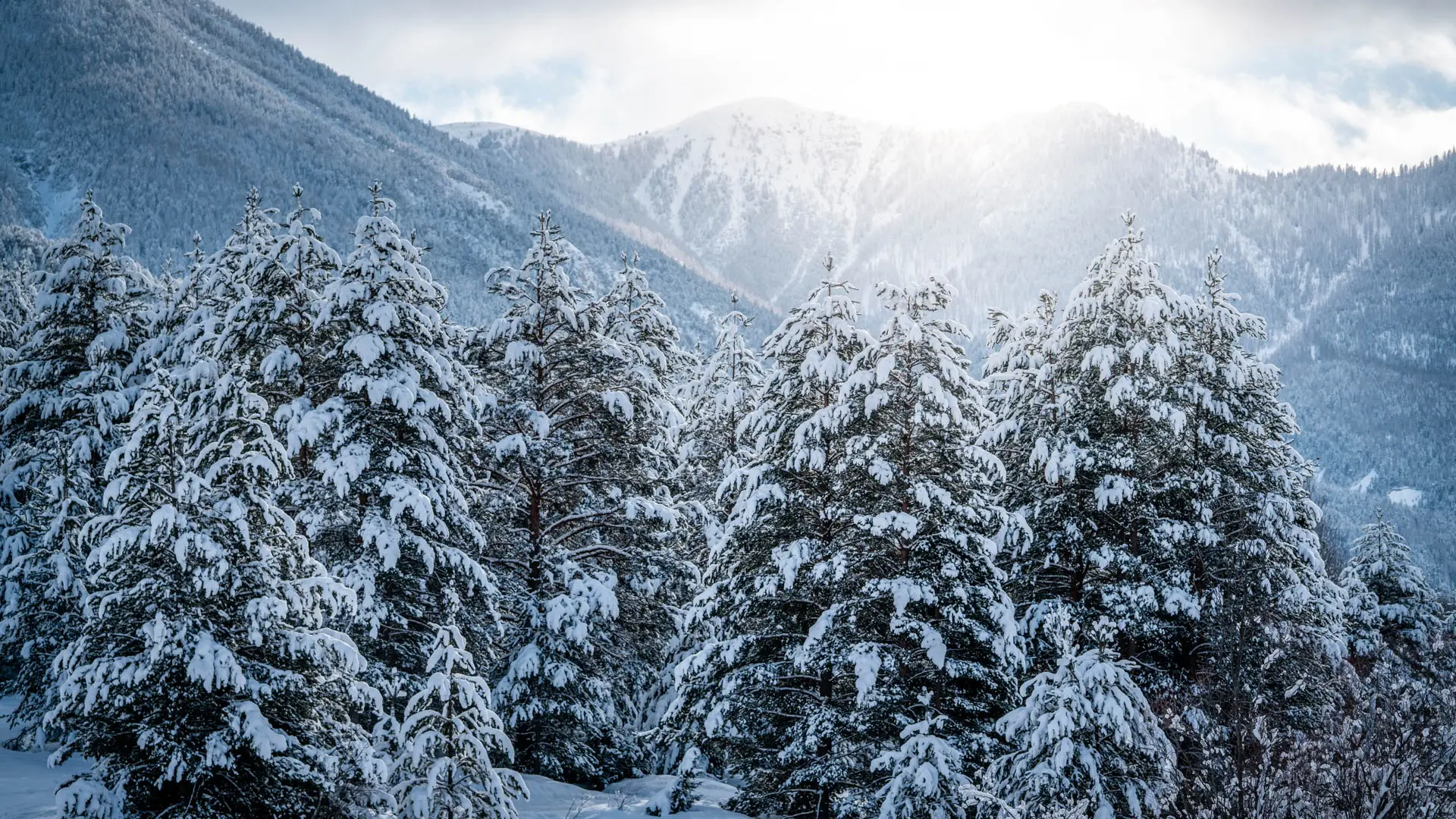 Randonnée raquette jusqu'au village de Val-des-Prés