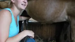 Le Haras du Vercors