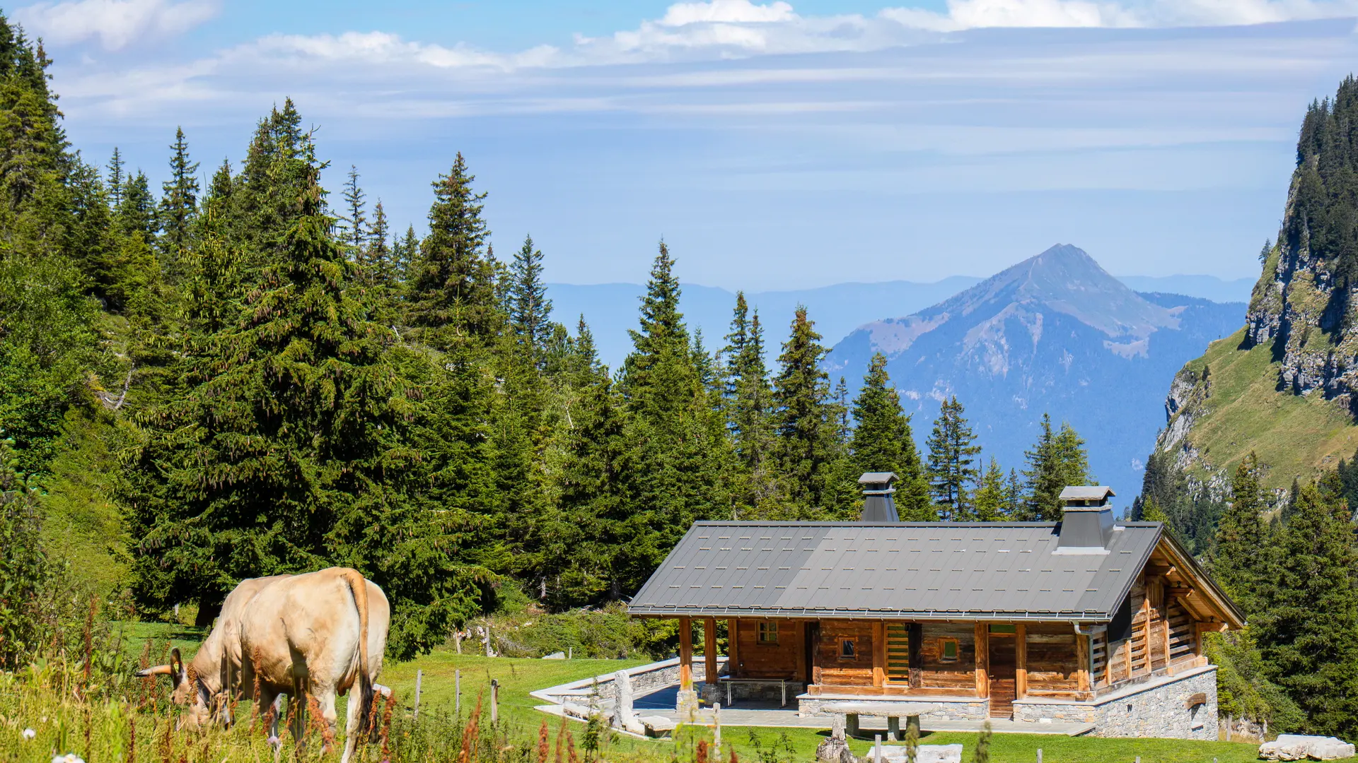 Les chalets d'Aujon avec le Môle en toile de fond