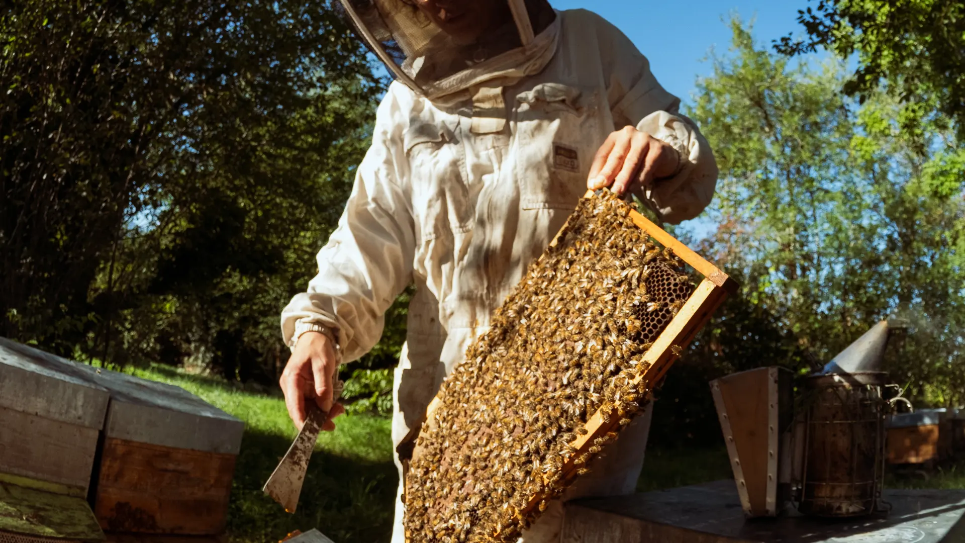 Ruche Julie Bernadou