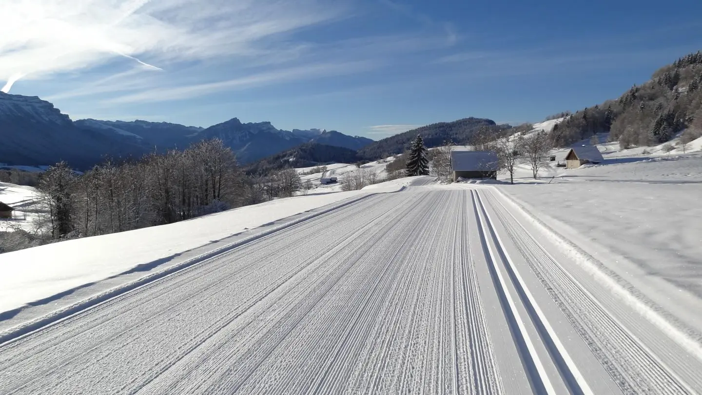 Piste de ski de fond