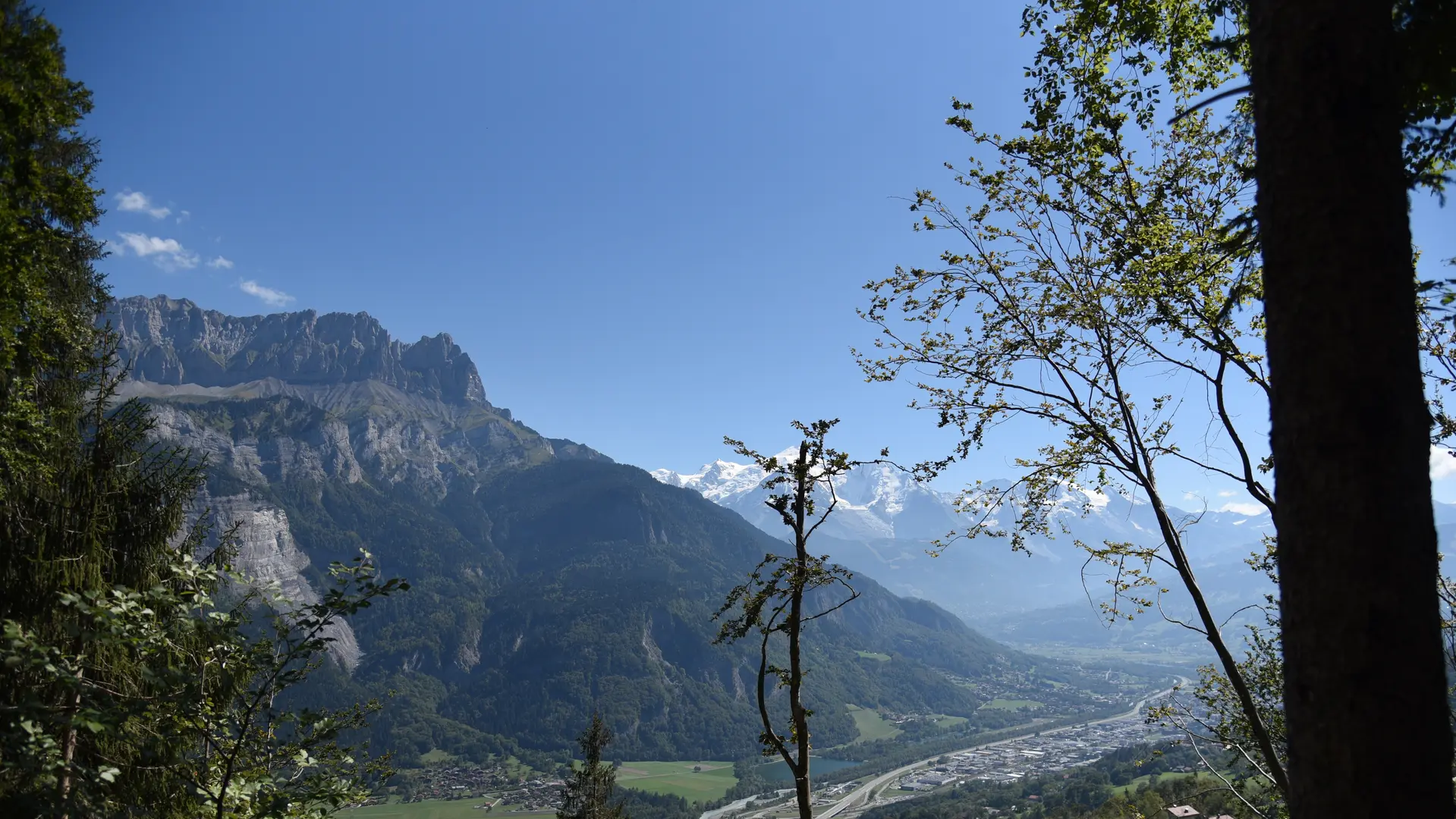 vue sur le Mont-Blanc depuis la Pierre à Voix
