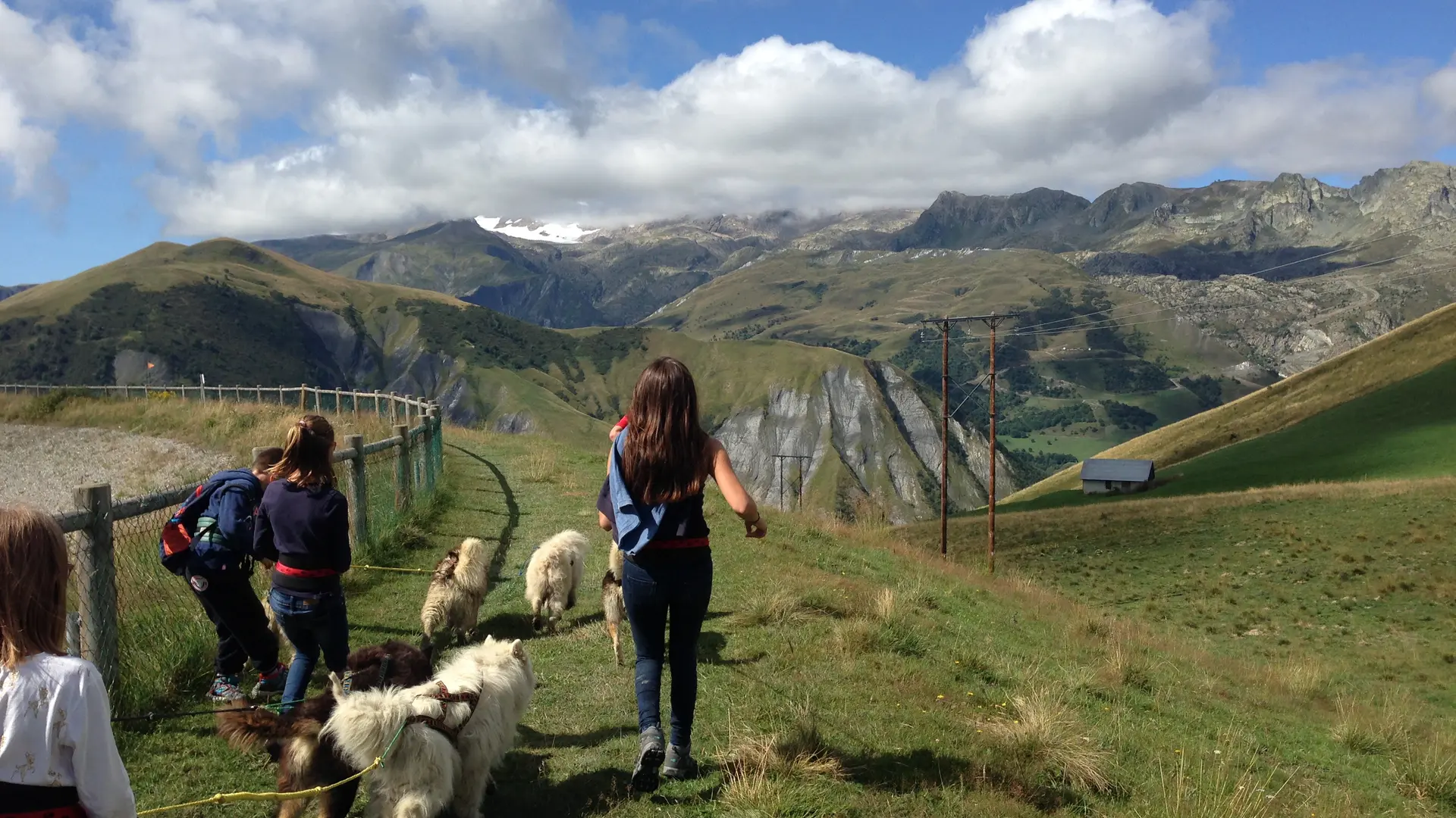 cani-rando