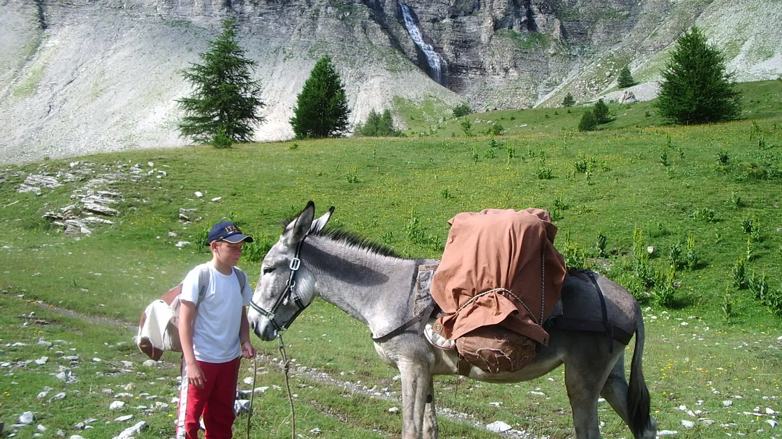 randonnée avec ânes - enfant