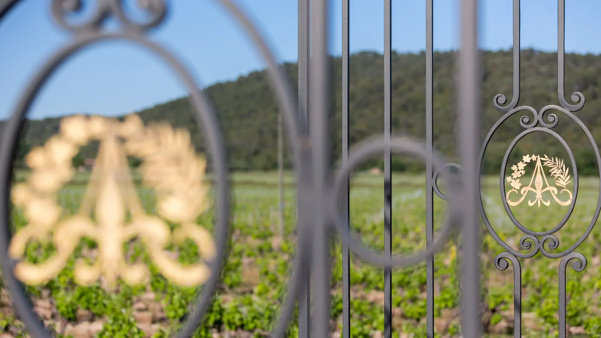 Château de l'Aumérade à Pierrefeu du Var