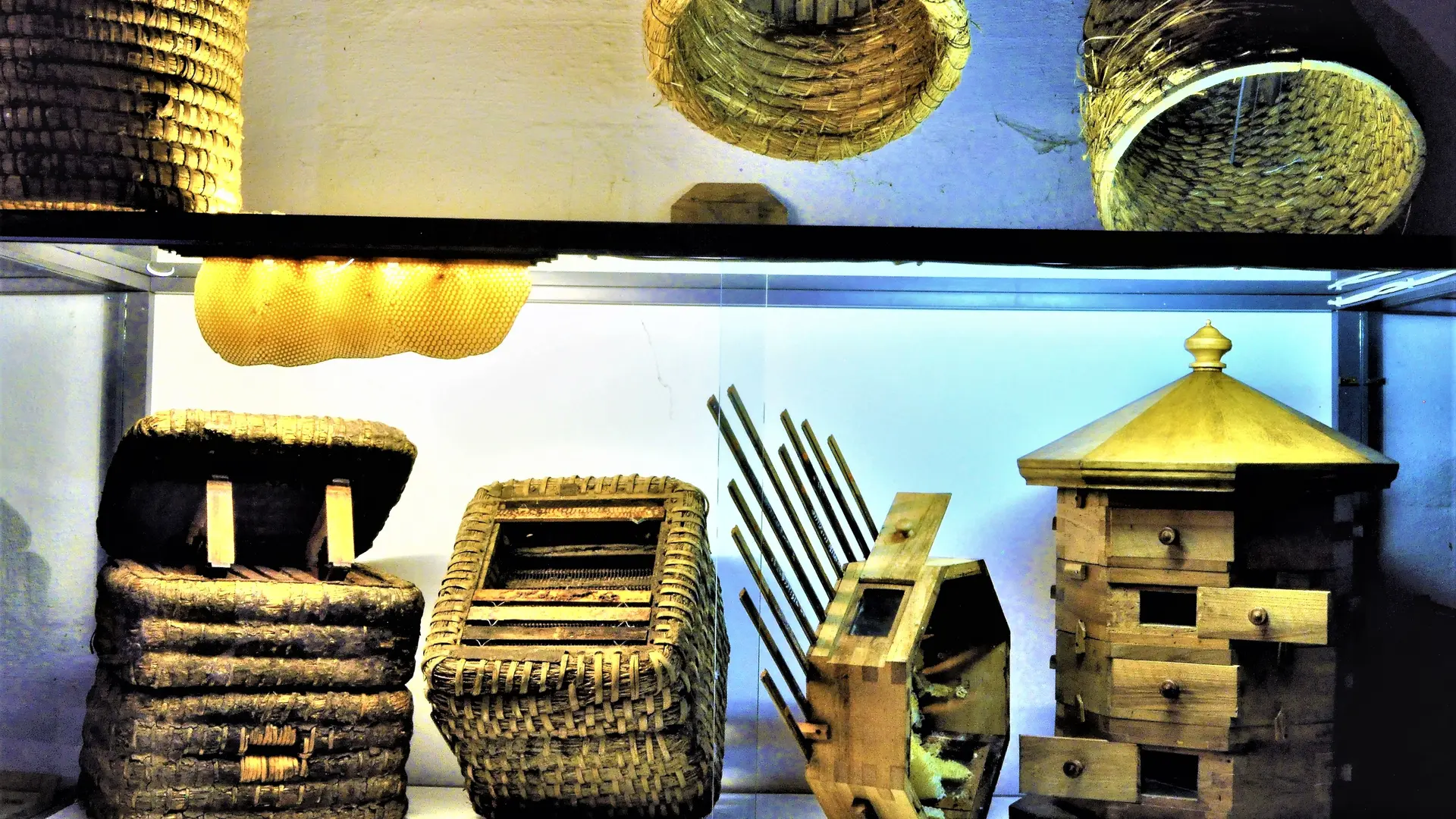 Ruche du monde comps