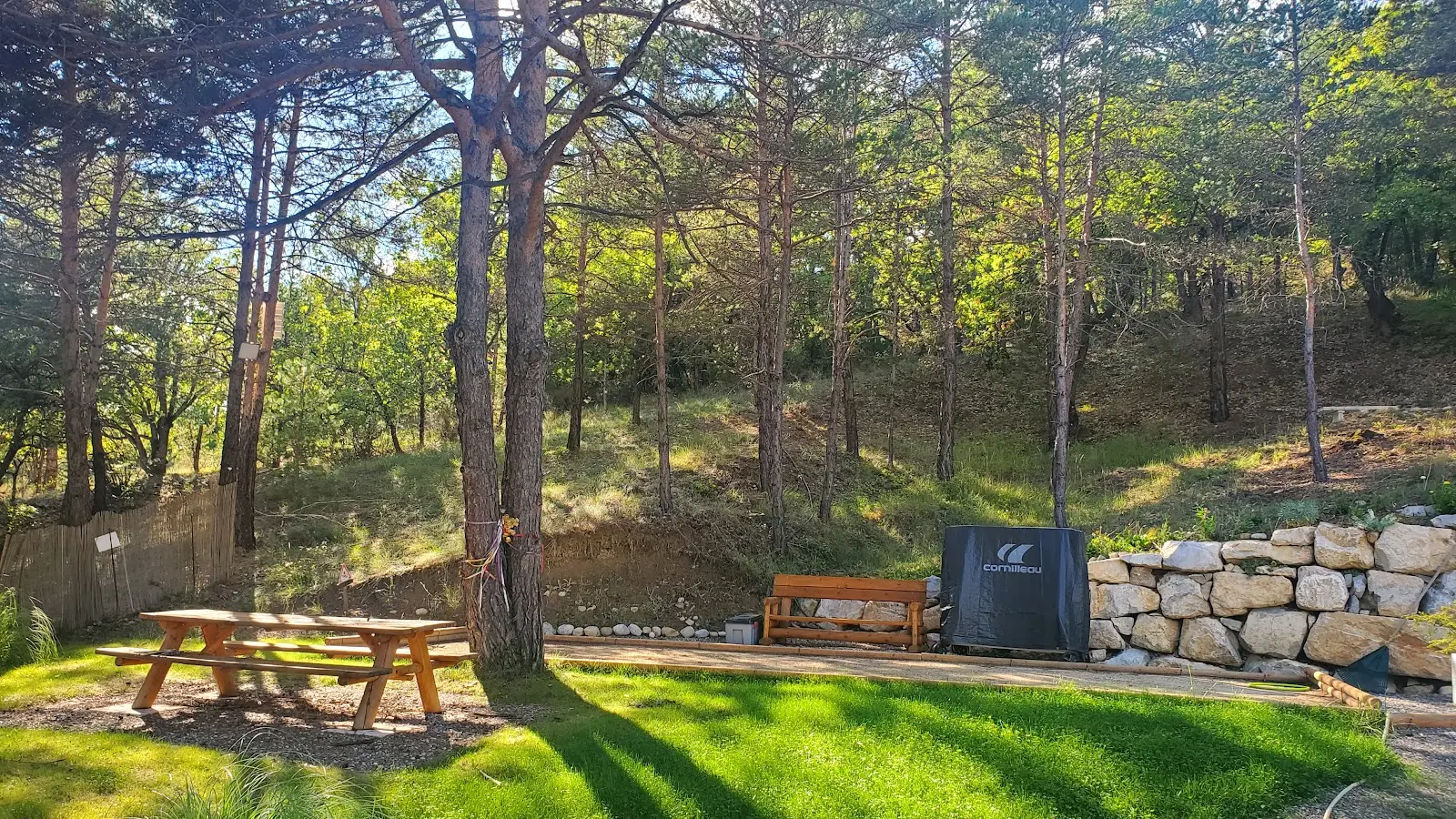 Jardin : terrain de boules et table de ping pong