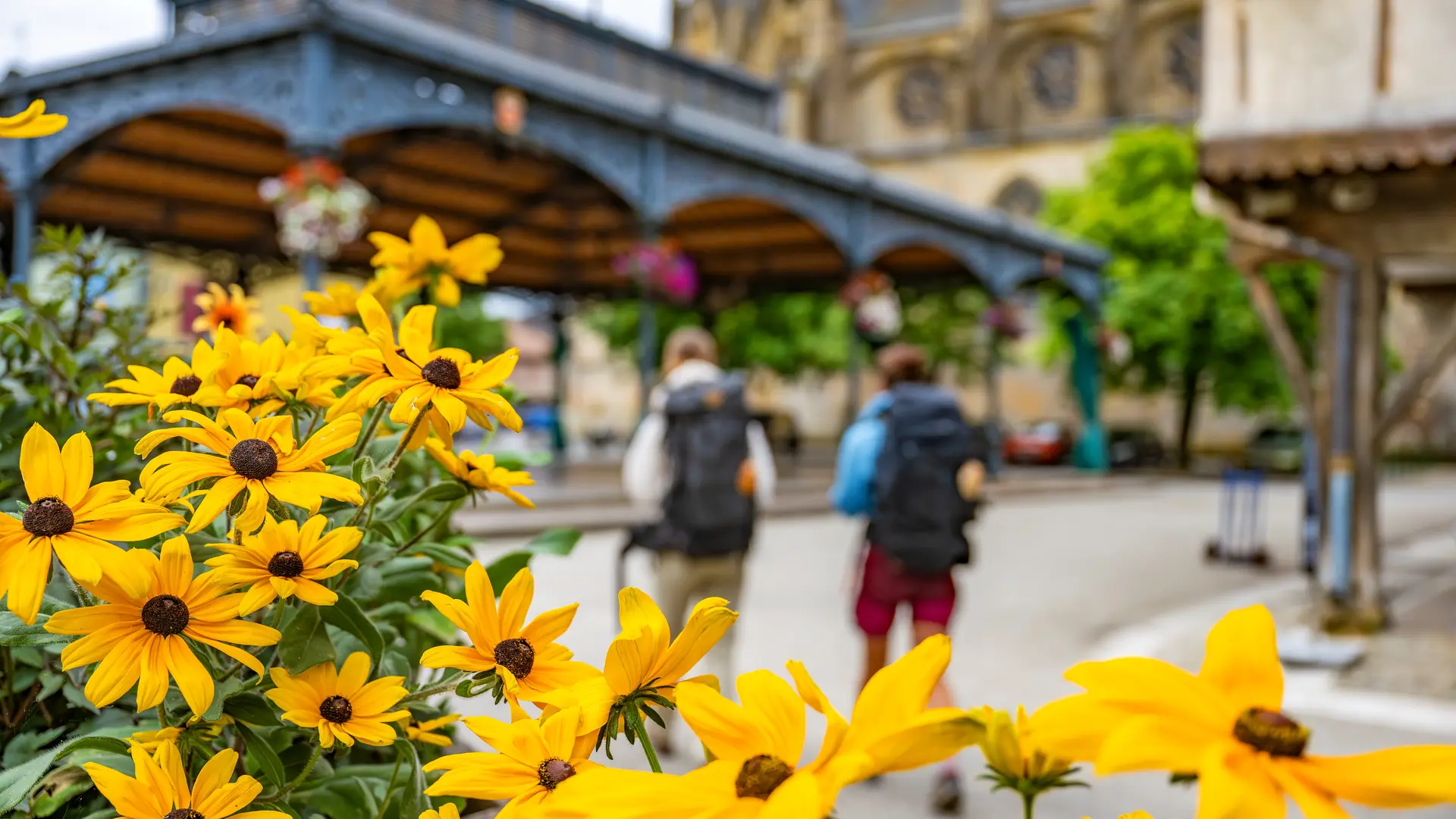 Chemins de Compostelle Mirepoix