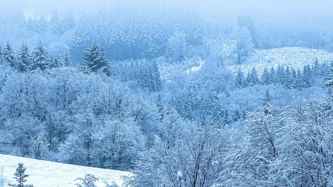 Saint-Nicolas-des-Biefs