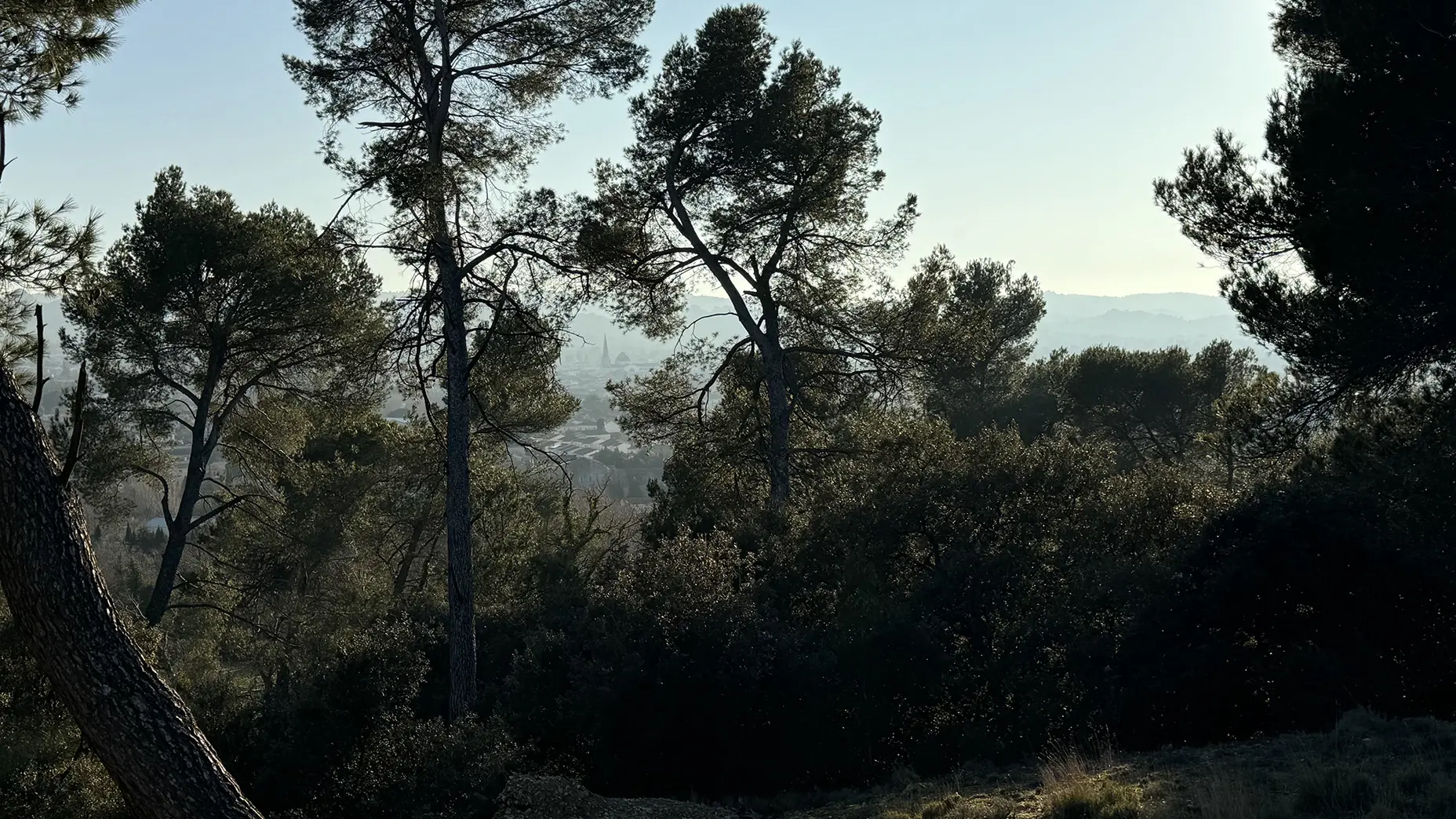 Plateau de la crau_Saint-Rémy-de-Provence