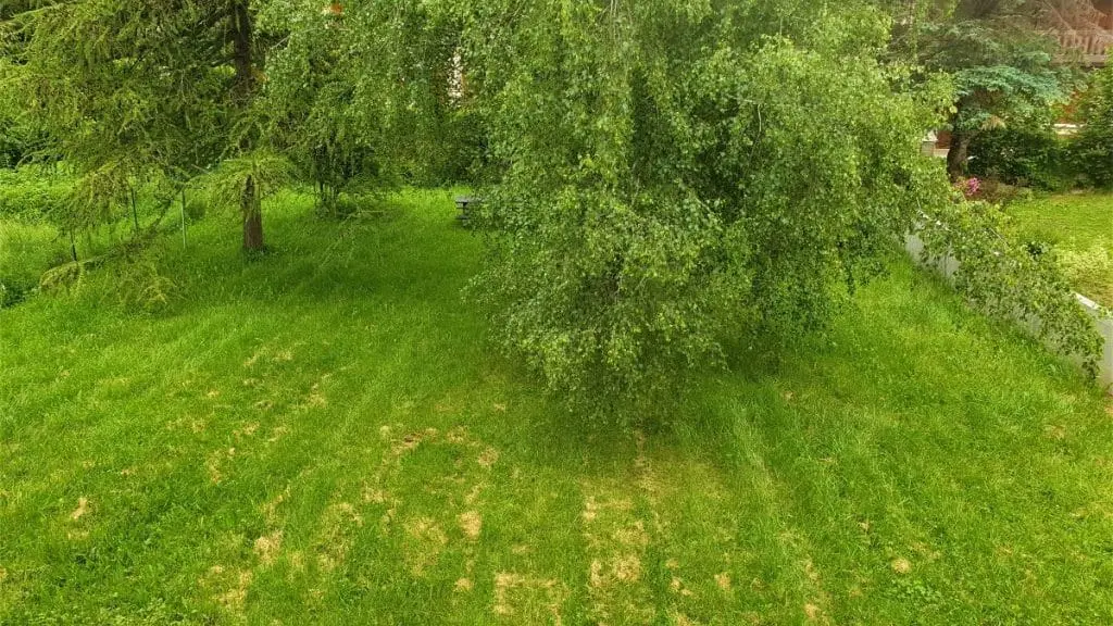 Location Meublé REYNAUD Elisabeth Ancelle