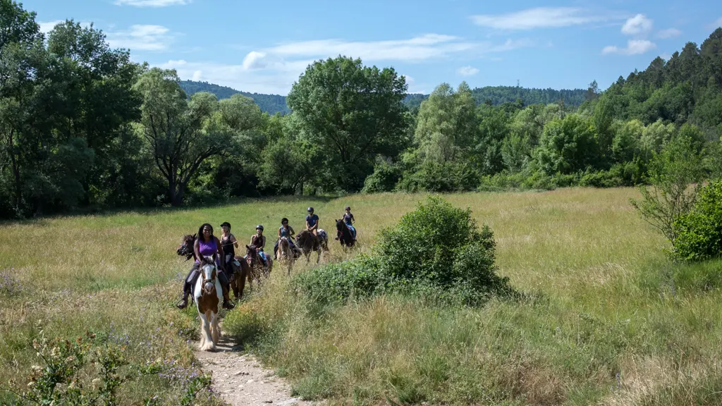 Balade à cheval Réserve de Fondurane