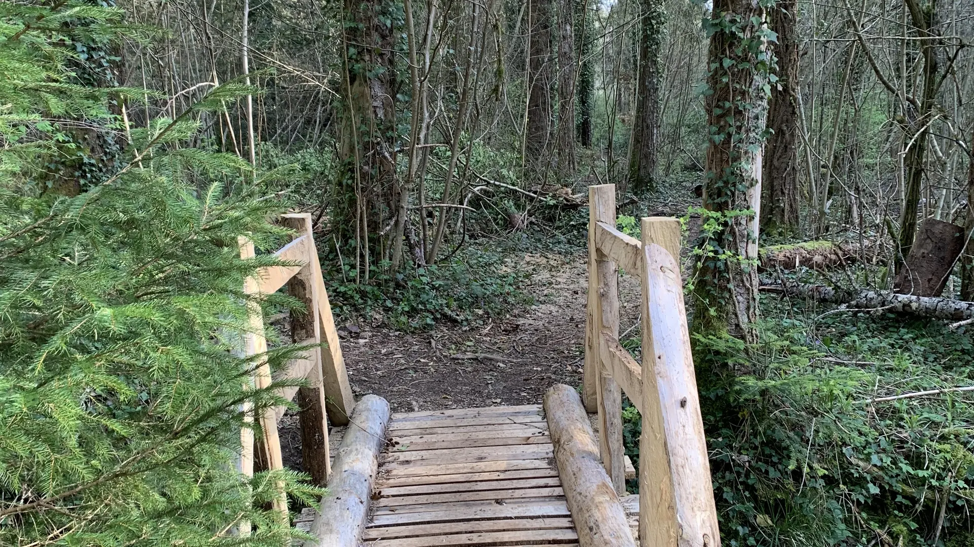 Petit pont en bois