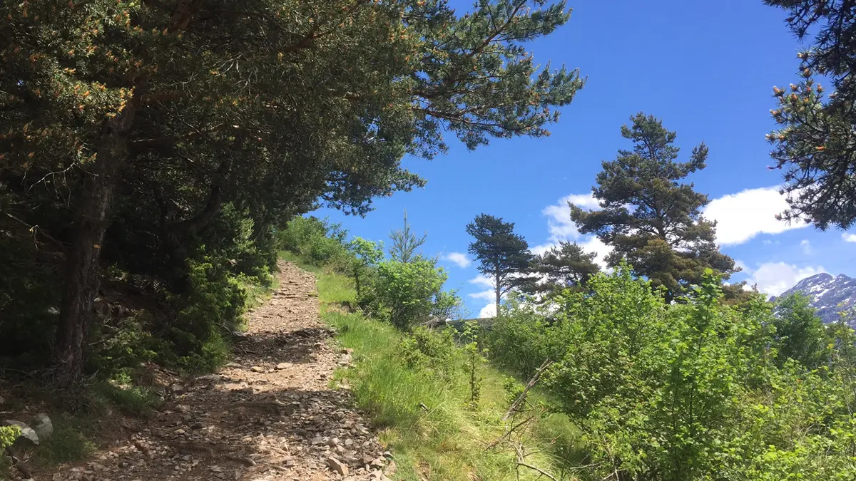 Itinéraire de randonnée jusqu'aux Sambucs, vallée du Valgaudemar