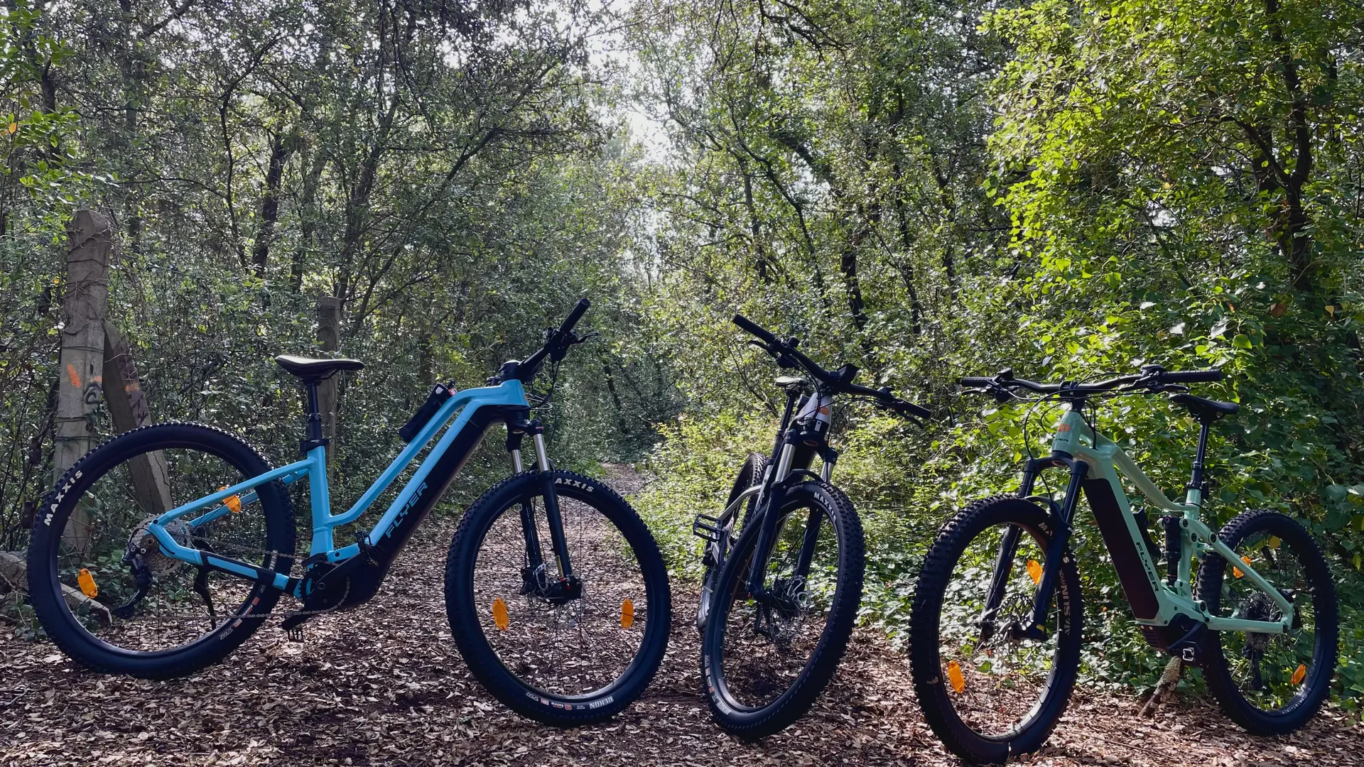 VTT dans la forêt