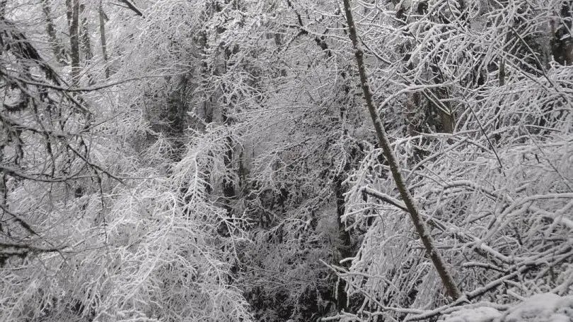 La forêt hivernale aux alentours du village. Copyright Pascal Voglimacci