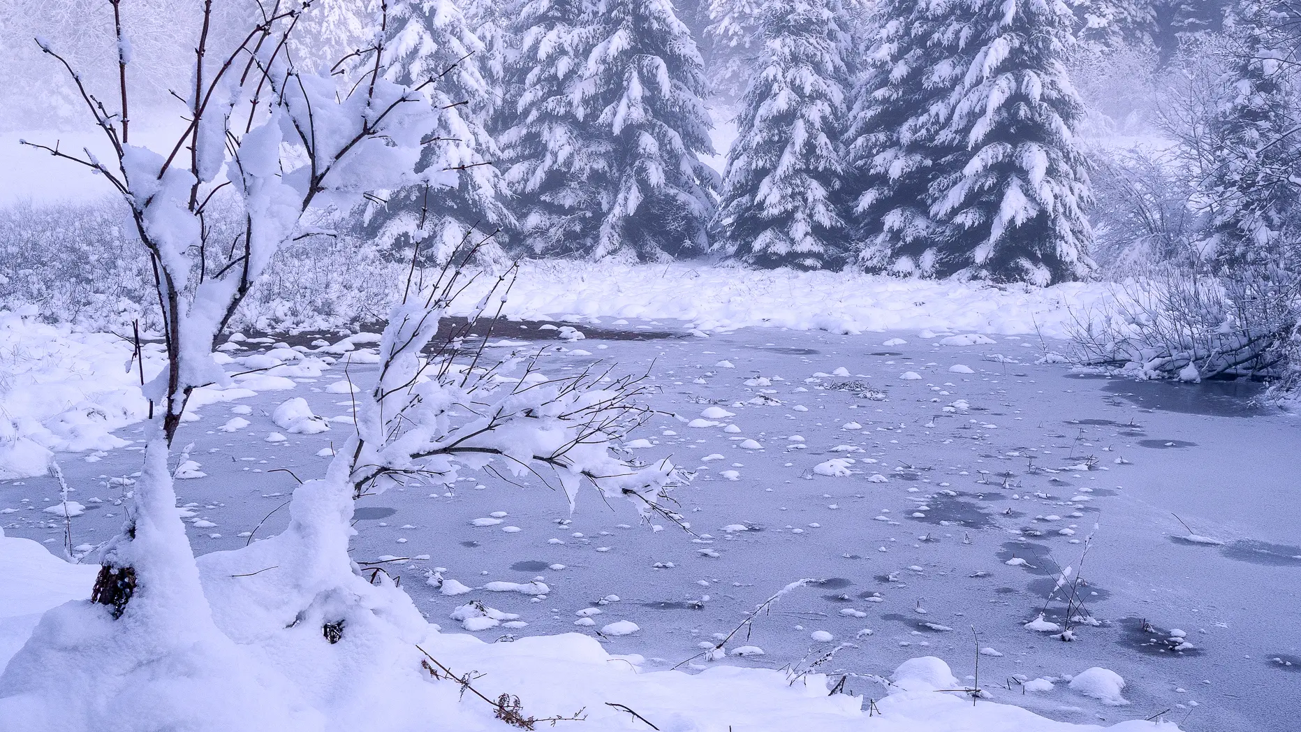 Un paysage de montagnes éclairé par la Lune avec un lac gelé une forêt de sapins enneigés.