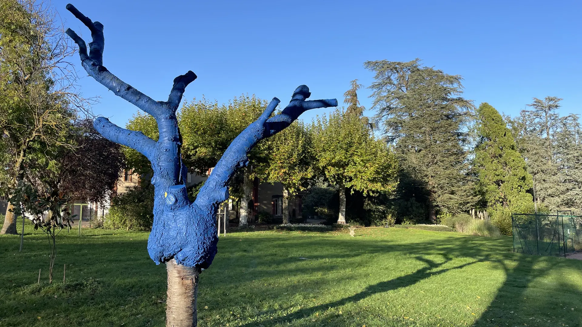 L'arbre bleu