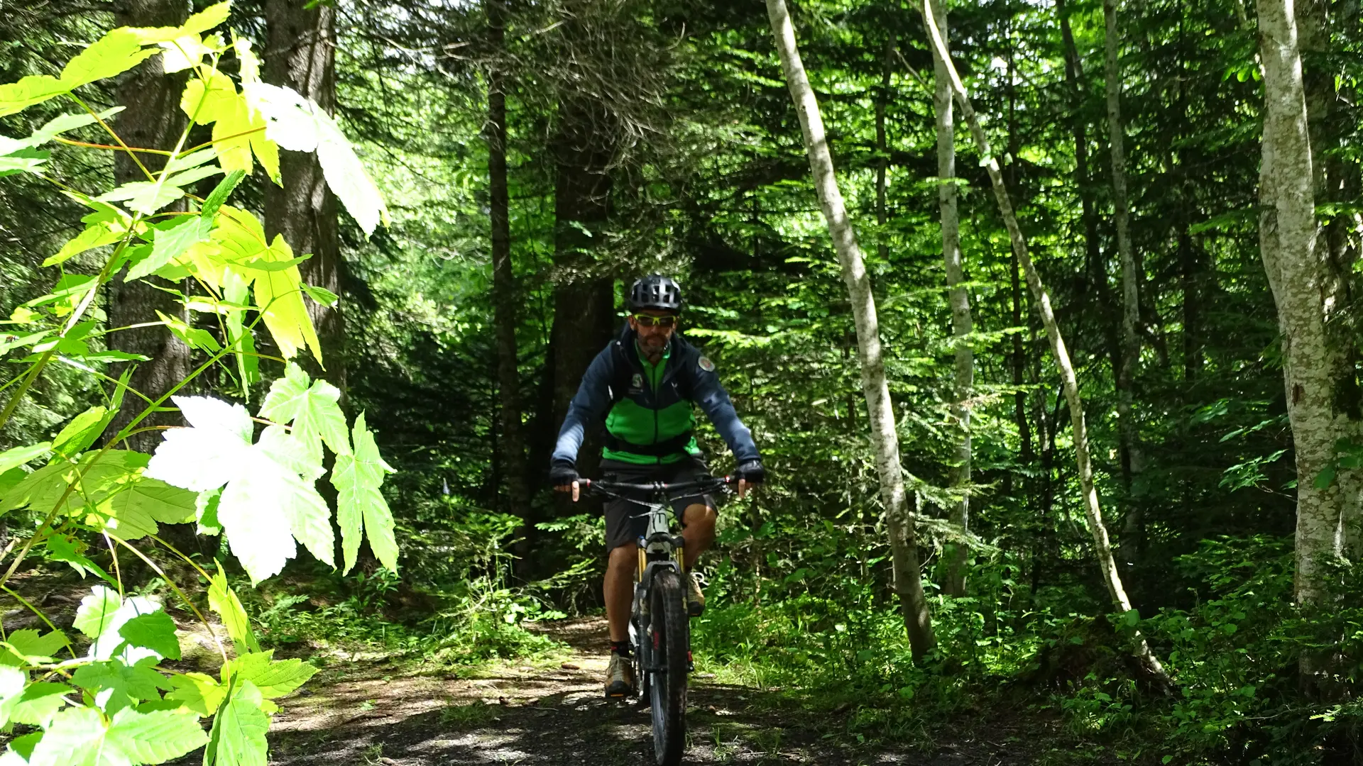 Vtt en forêt