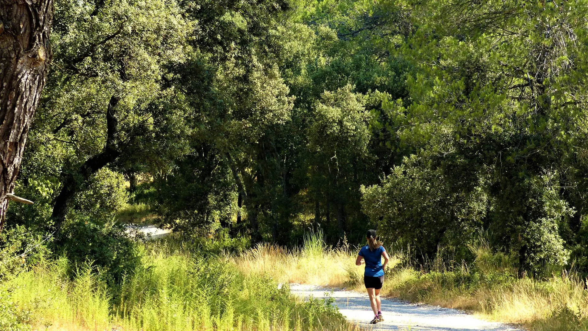 Jogging à l'ombre de la pinède