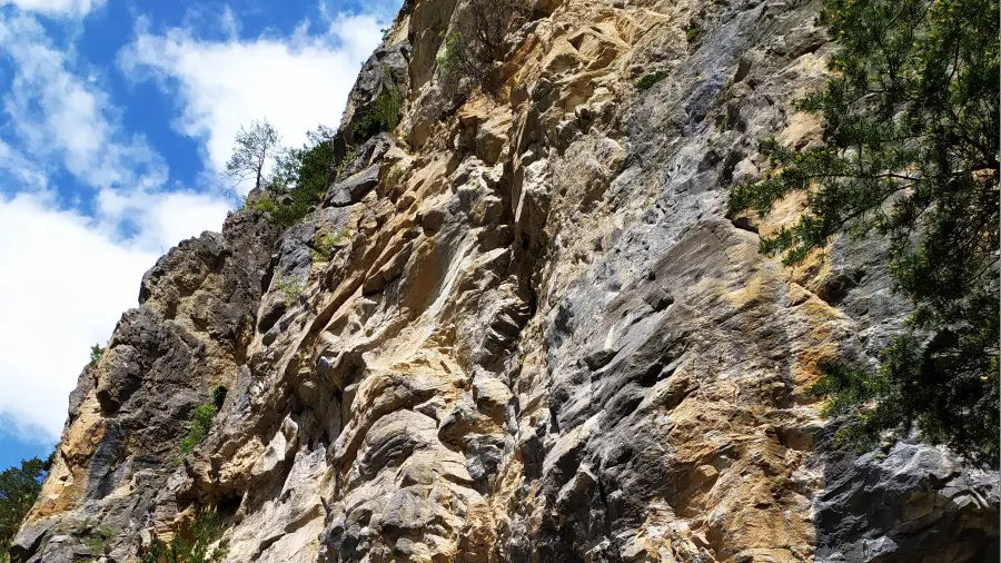 ecureuil grimper enfant escalade